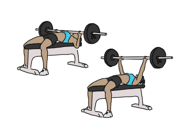 Barbell bench press