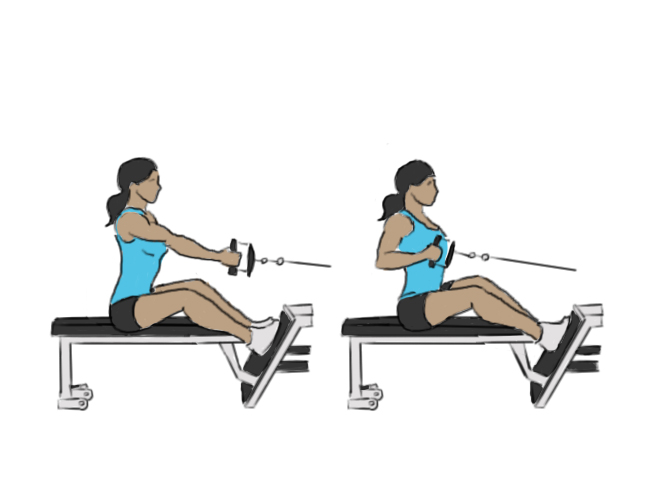 Seated cable back rows