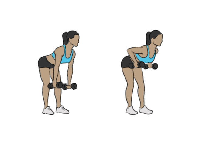 Bent over dumbbell row - GoFitnessPlan