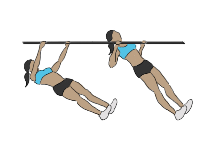 Inverted rows / Reverse pull-ups