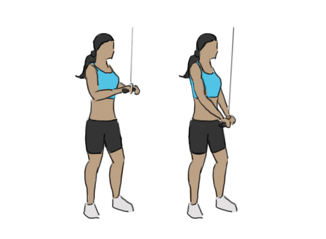 Triceps pushdown