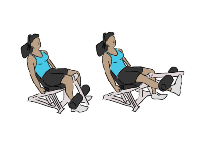 Seated single leg extensions